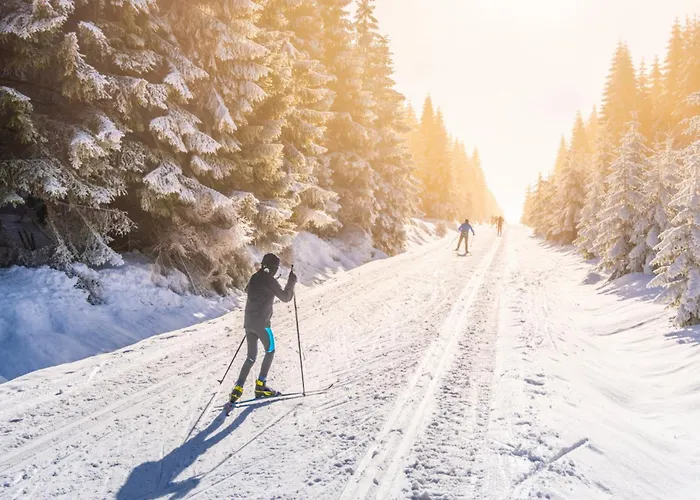 Złota łania Resort&spa Ośrodek wypoczynkowy Wiartel
